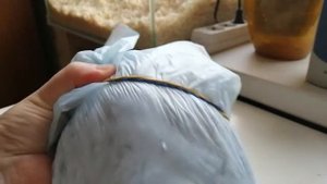 Как перевозить сухопутную черепаху в холодную погоду или готовимся ехать к ветеринару