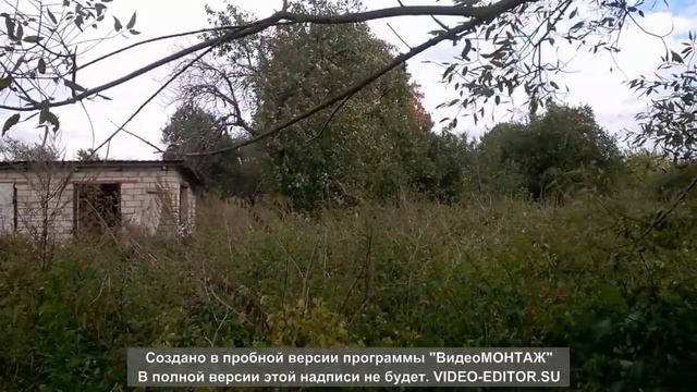 Купили заброшенный дом в деревне. Уборка участка. смотреть онлайн