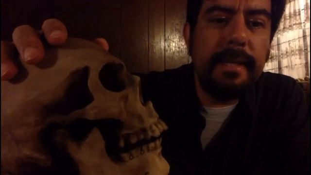 EL DÍA DE MUERTOS MEXICANO смотреть онлайн