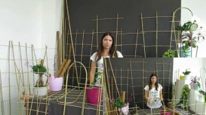 Опоры для вьющихся растений и комнатных цветов - Типы опор - Какие опоры для растений выбрать