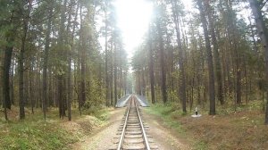 Осенняя прогулка по Заельцовскому парку, город Новосибирск.