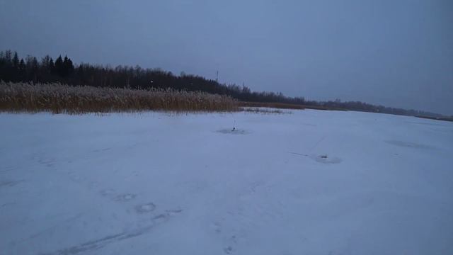 Подмосковье жор щуки на живца 10.12.2022 смотреть онлайн