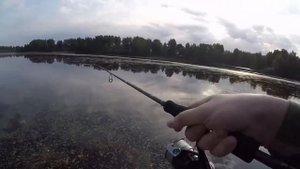 день шнурка) ловим на agarron 110 sf от pontoon21