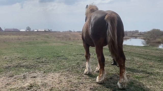 Советский тяжеловоз Каскад - 2014 г.р. смотреть онлайн