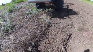 Фреза мотоблока Мотор Сич в качестве мульчера сидератов