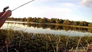 Ловля окуня озеро Колесниково Тальменского района Алтайского края