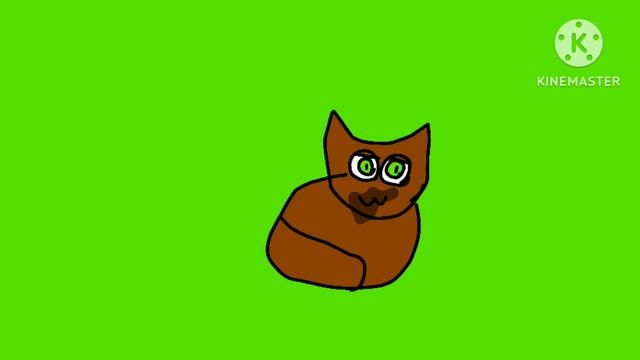 коша ходит и говорит футаж смотреть онлайн