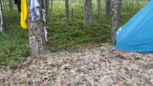 Отдых в Карелии летом