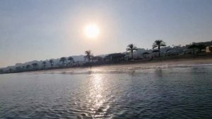 The Cove Rotana Resort 5*🏝 Го на пляж в 7 утра Что едим на завтрак 🍉🍍 Серёгу любят все кошки 🐈
