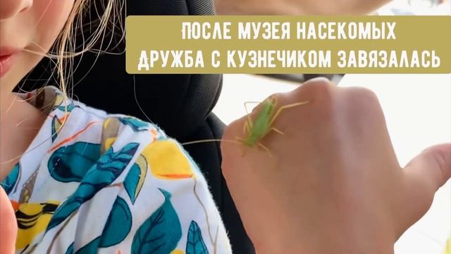 Что посмотреть в Пятигорске быстро смотреть онлайн