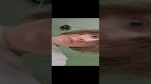 Пушистая чучундра