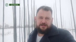 Обзор Питомника Павловнии зимой. Сравнение сортов. Павловния зима.