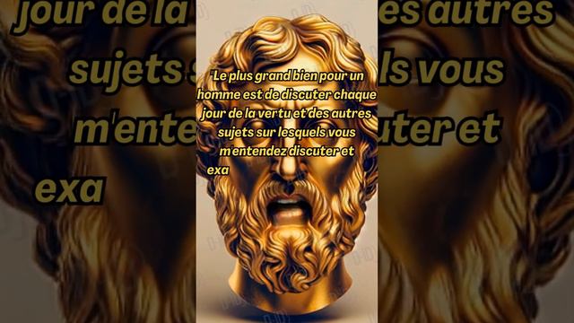 "Sagesse Éternelle : Platon en 6 Secondes" #platon #3