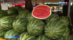 Как смолянам выбрать качественный и вкусный арбуз