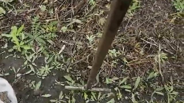 Приспособление для посева медоносов. смотреть онлайн