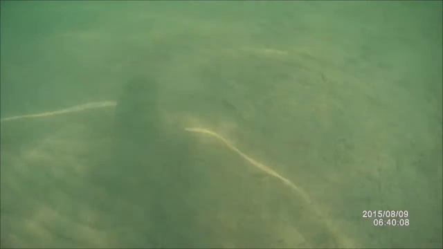 ЙОГА И ПУТЕШЕСТВИЯ. МЕСТА СИЛЫ НАШЕЙ ПЛАНЕТЫ - АРШАН, БУРЯТИЯ смотреть онлайн