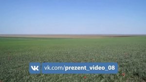 Времена изменчивы (Цаг селгәтә); Караоке- песня Калмыкия