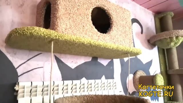 Игровой настенный комплекс для кошек в приюте