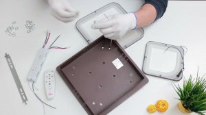 Инструкция по сборке потолочного светильника Concepto 21700 4+4 Coffee, Schaffner