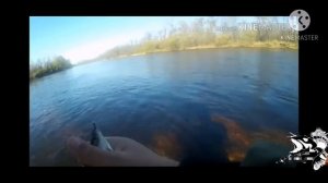Рыбалка на Бурее. Ловля Тайменя, Ленка и Хариуза.