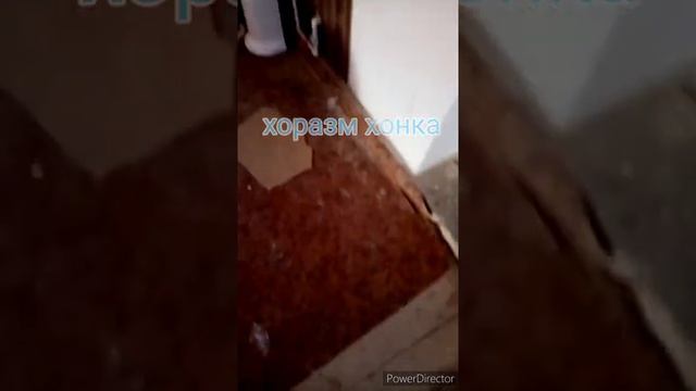 умвалник кафел раковина смеситель хонка смотреть онлайн