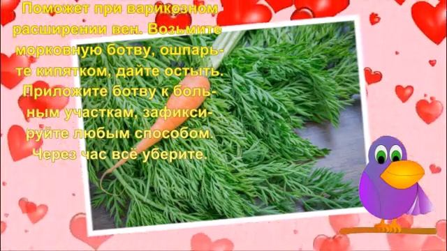 Ешьте.....Морковную ботву!