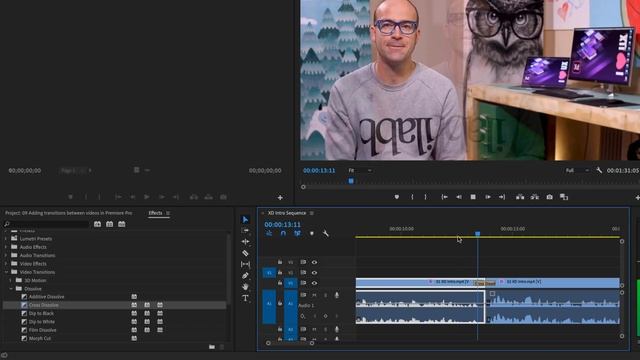 Adobe Premiere Pro Tutorial: A Crash Course For Beginners