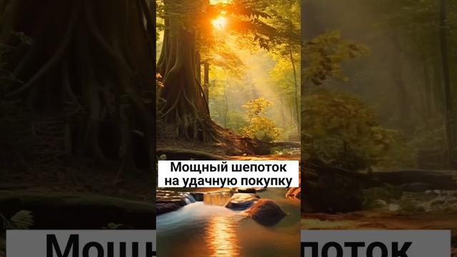 Мощный шепоток на удачную покупку#shorts