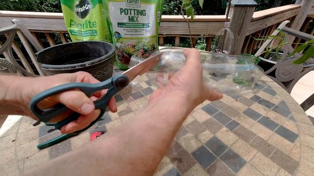 Cloning Trees by Cuttings and Air Layering Key Tips - Tutorial смотреть онлайн