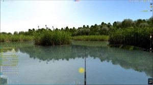 Густера, ловля густеры в игре Трофейная рыбалка 2