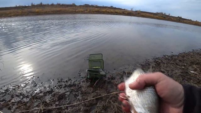 НАСАДИЛ ИХ И ПОНЕСЛОСЬ!!! НЕ УСПЕВАЮ НА ДВЕ УДОЧКИ! ОТЛИЧНАЯ РЫБАЛКА смотреть онлайн