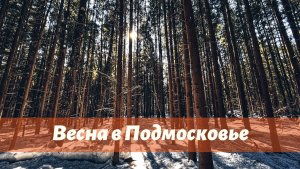 ВЕСНА В ЛЕСУ. Уютный и доступный поход выходного дня в Подмосковье
