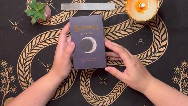 Tarot & Oracle Deck Haul смотреть онлайн