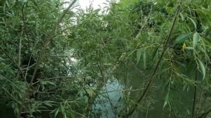 6 - Главных правил охоты на БОБРА !!!