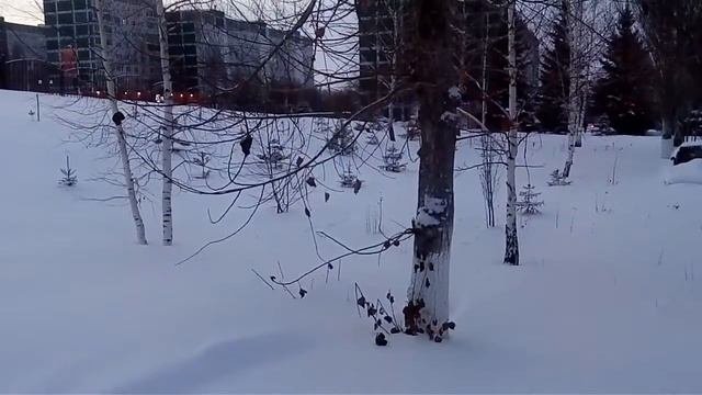 Камские Поляны
