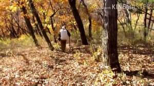 Шелуха жизни.....