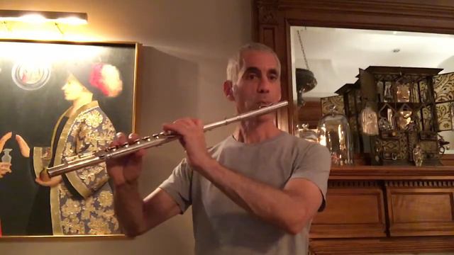 Vintage Flute Demo: Powell 226 from 1930s смотреть онлайн