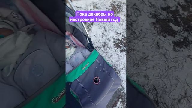 В этом году декабрь  "зима или осень"? то снег есть то его нет. алло, прием. Зима