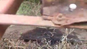 Картофелокопатель, копатель корнеплодов.