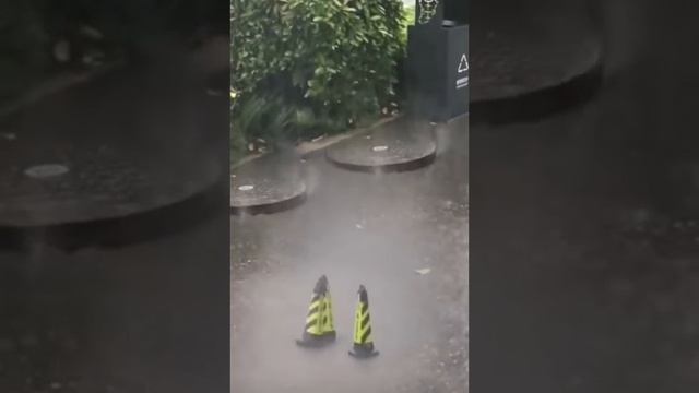симуляция Матрицы