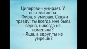 Юмор   Красота спасет мир  Веселая открытка для настроения и позитива  Шутки , веселые анекдоты