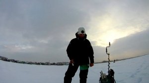 Как ловить окуня зимой. Советы мастера спорта (2020)