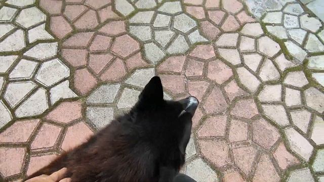 ПЕРЕКЛАДЫВАЮ БРУСЧАТКУ ВОЗЛЕ ДОМА . ПОДГОТОВКА ОПАЛУБКИ ДЛЯ БОРДЮРА . смотреть онлайн