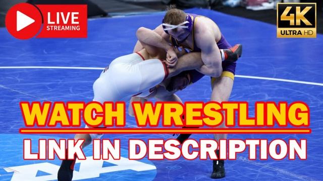 LIVE: CMLSAA Divisionals Wrestling 2023 смотреть онлайн
