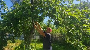 Садовый душ своими руками. Как сделать садовый душ на даче или на огороде. Самодельный душ.
