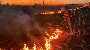 В Приморском крае сотрудники МЧС России активно тушат возгорания сухой травы. 05.03.2024