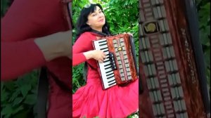 Wieslawa Dudkowiak - ACCORDION  "White Rose"