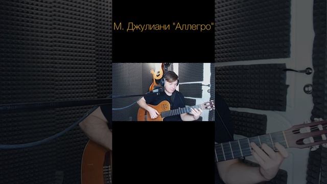 27 М. Джулиани Аллегро 95 bpm #гитархит #подход #сумом #обучение #Dm #Am #E