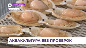 Экологическая экспертиза предприятий аквакультуры в Приморье упростится