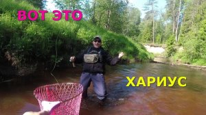 #424 #мормышинг | Живописная речка | Форель, хариус |
